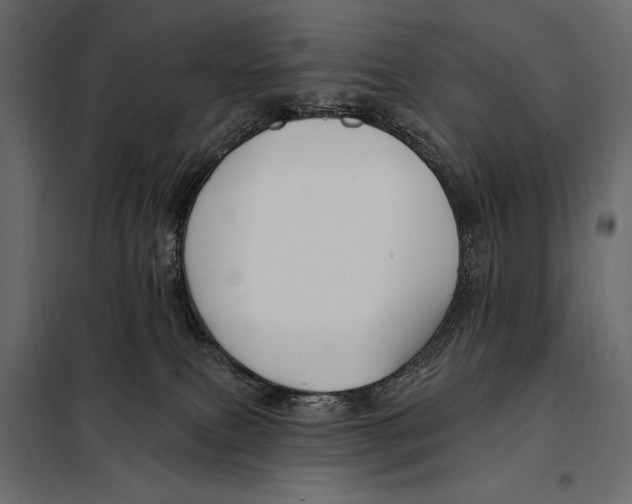 X0000098030087200804251425