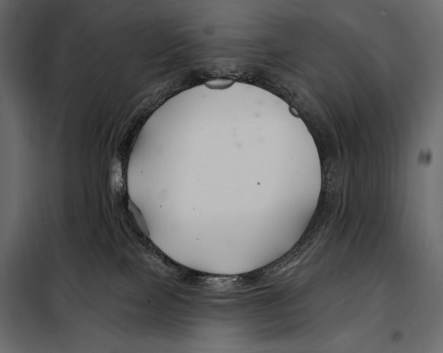 X0000098030089200804251425