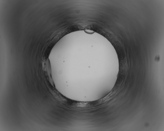 X0000098030090200804251425