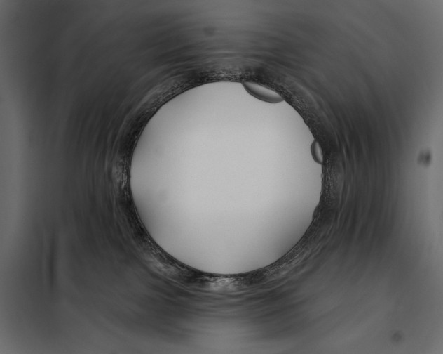 X0000098030091200804251425