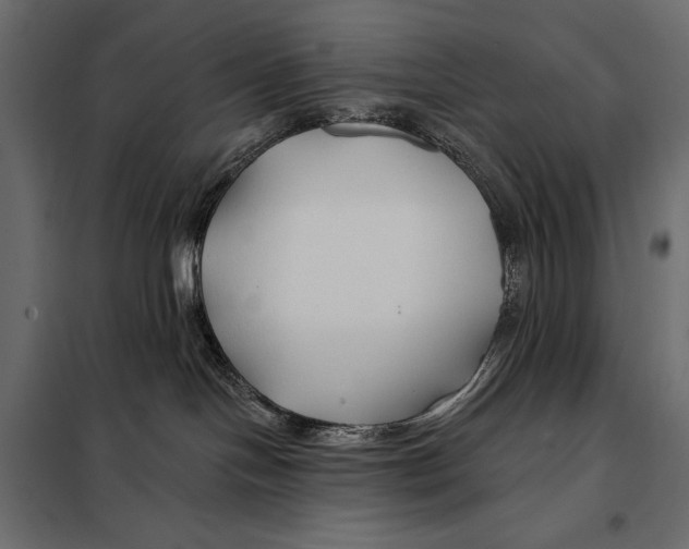 X0000098030094200804251425