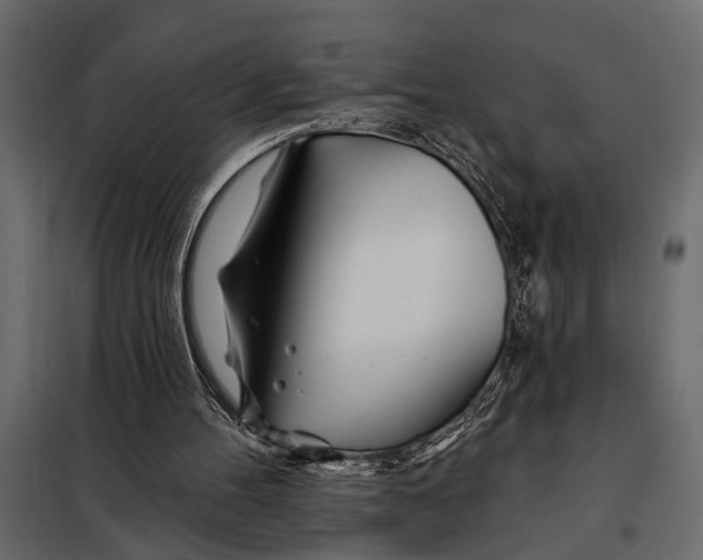 X0000098030100200804251424