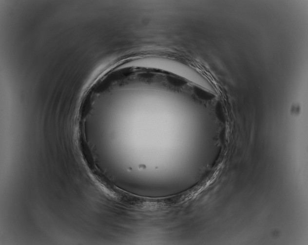 X0000098030101200804251424