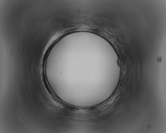 X0000098030102200804251424