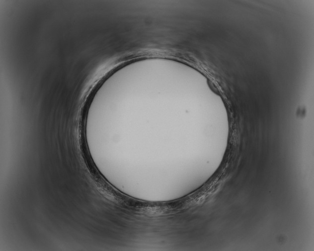 X0000098030103200804251424