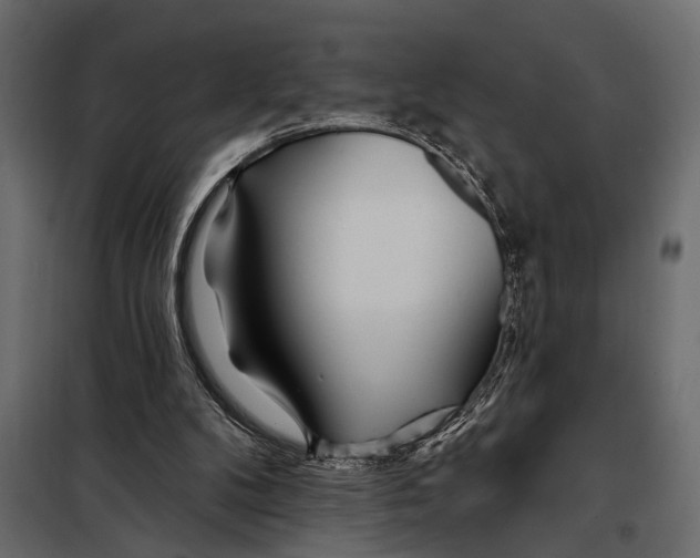 X0000098030104200804251424