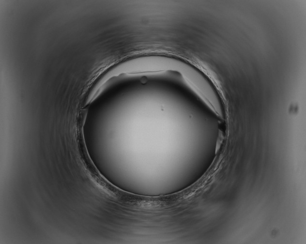 X0000098030105200804251424