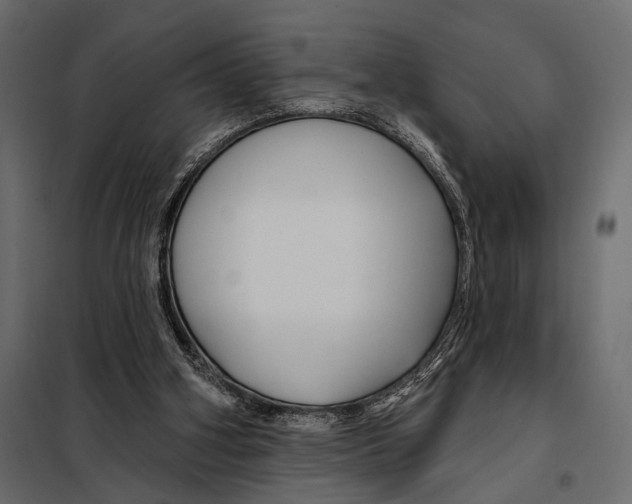 X0000098030106200804251424