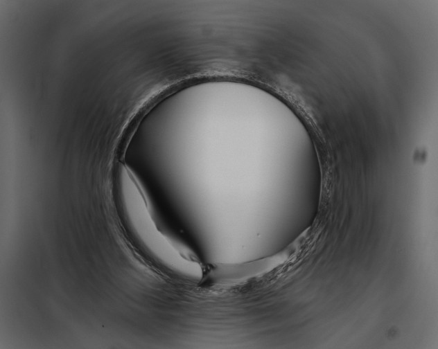 X0000098030108200804251424