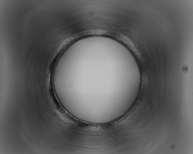 X0000098030110200804251424