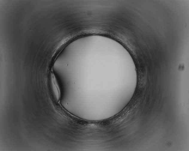 X0000098030111200804251424