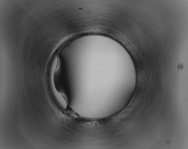 X0000098030112200804251424