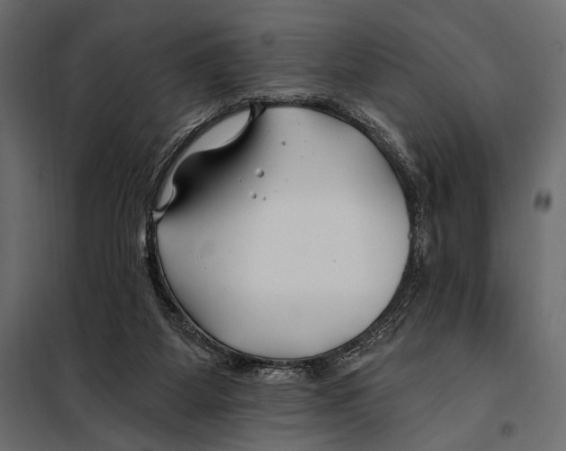 X0000098030115200804251424