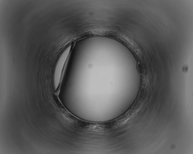 X0000098030117200804251424