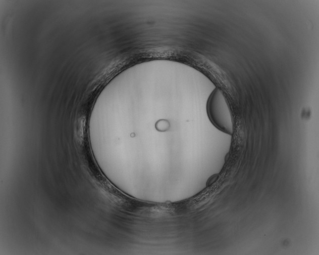 X0000098030118200804251424