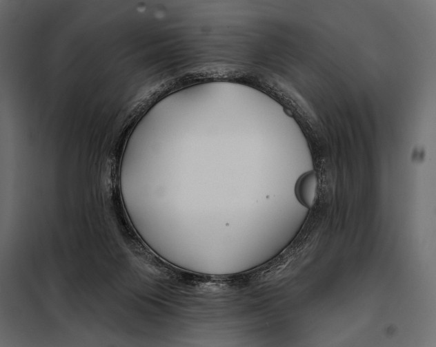 X0000098030119200804251424