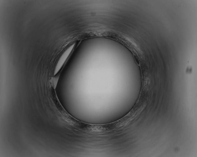 X0000098030121200804251424