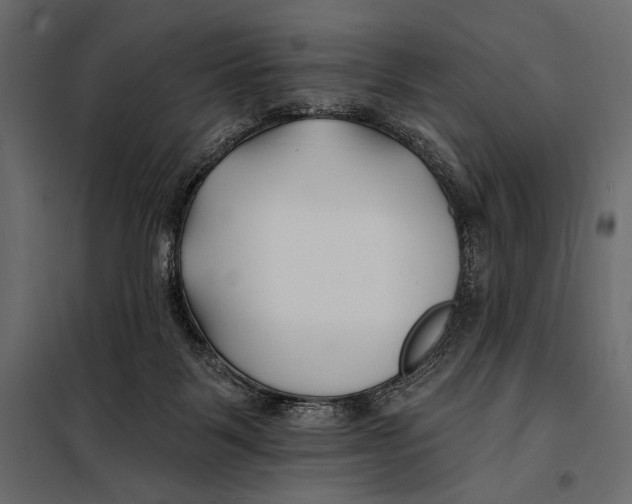 X0000098030123200804251424