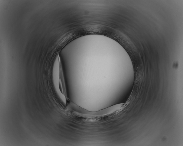 X0000098030124200804251424