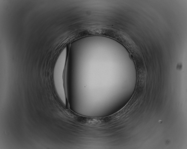 X0000098030125200804251424