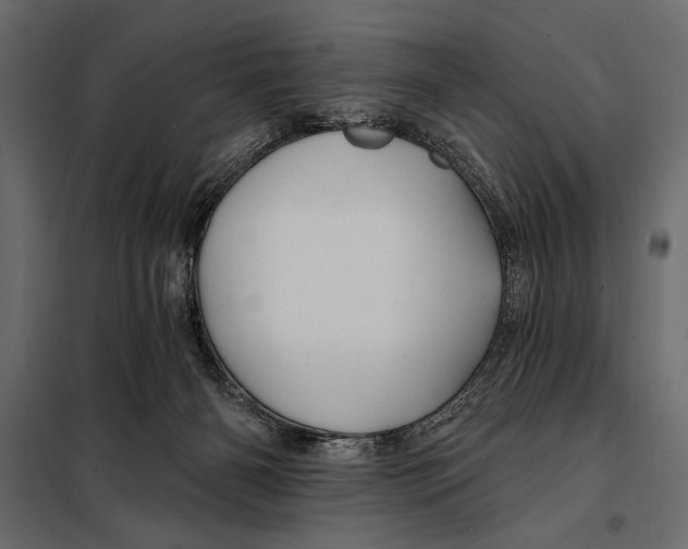 X0000098030126200804251424