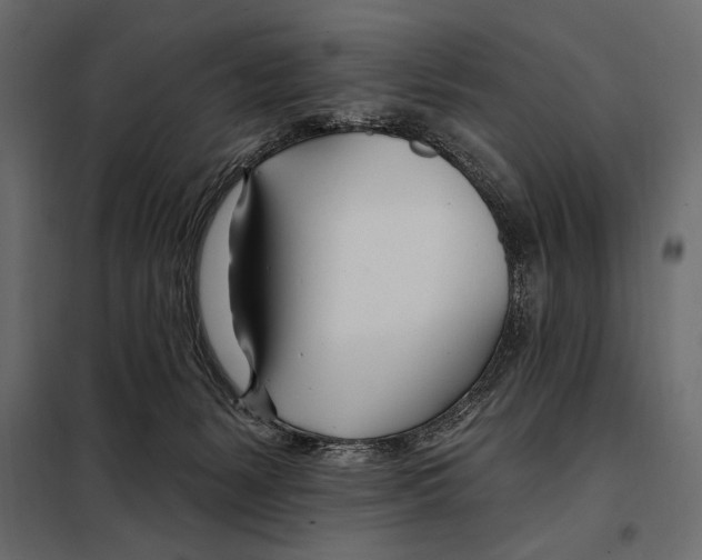 X0000098030127200804251424