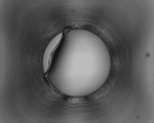 X0000098030129200804251424