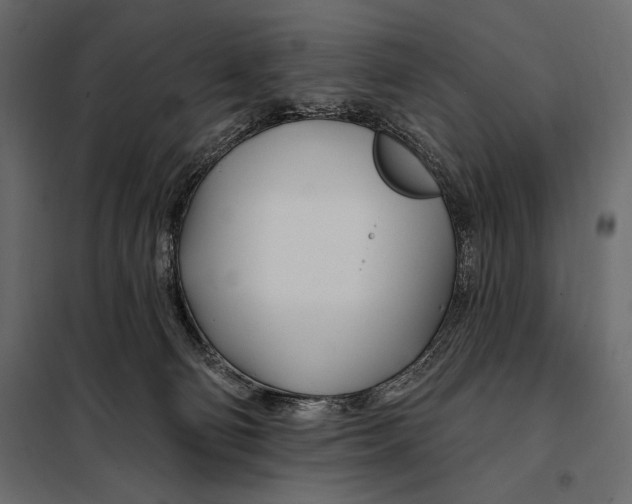 X0000098030130200804251424