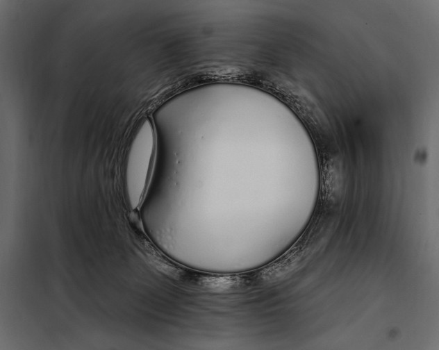 X0000098030131200804251424