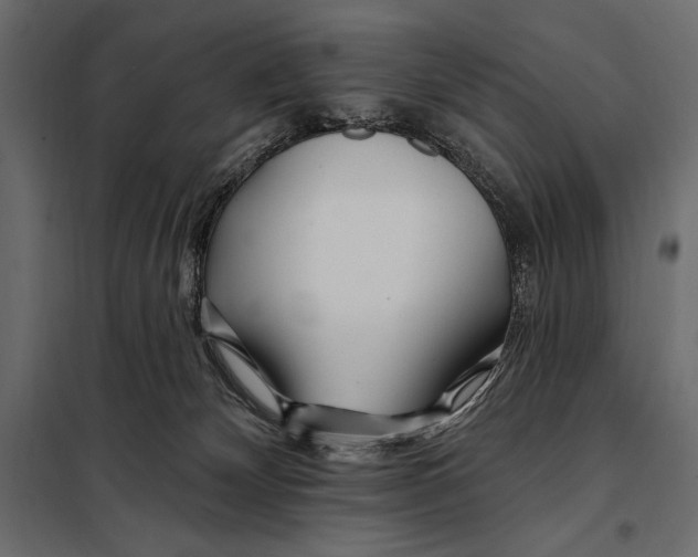 X0000098030132200804251424