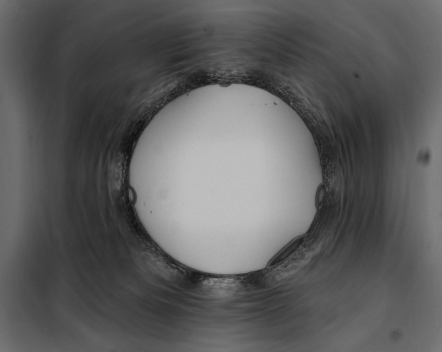 X0000098030133200804251424