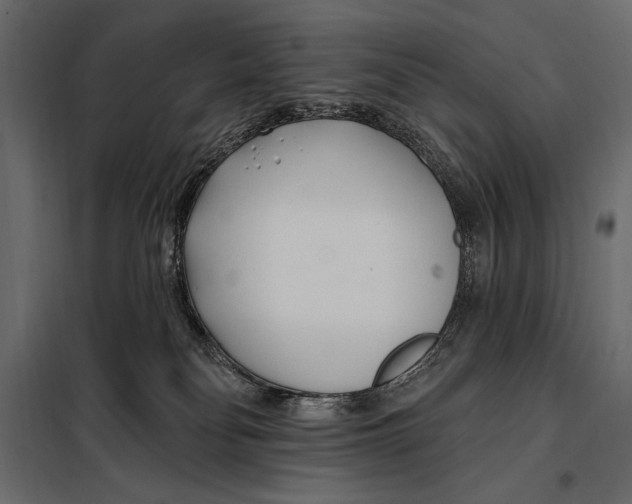 X0000098030134200804251424