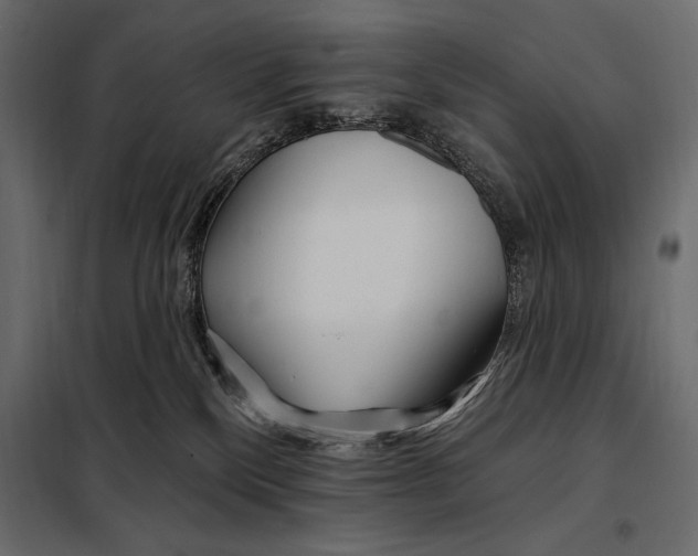 X0000098030136200804251424