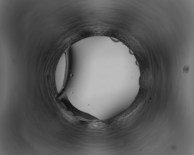 X0000098030137200804251424