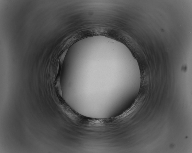 X0000098030140200804251424