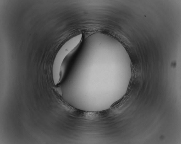 X0000098030141200804251424