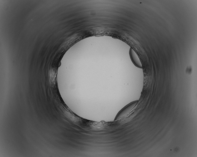 X0000098030142200804251424