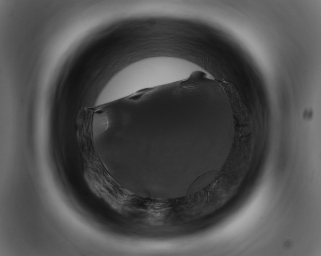 X0000098030143200804251424