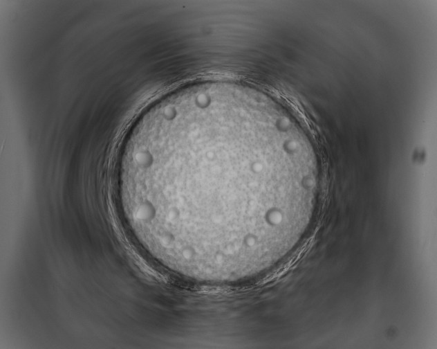 X0000098030145200804251423