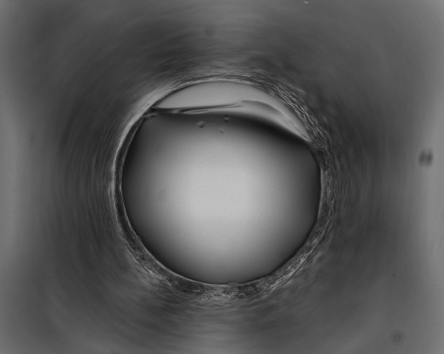 X0000098030148200804251423