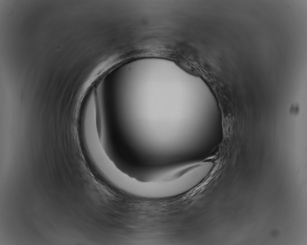 X0000098030150200804251423