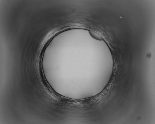 X0000098030151200804251423