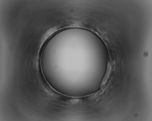 X0000098030152200804251423