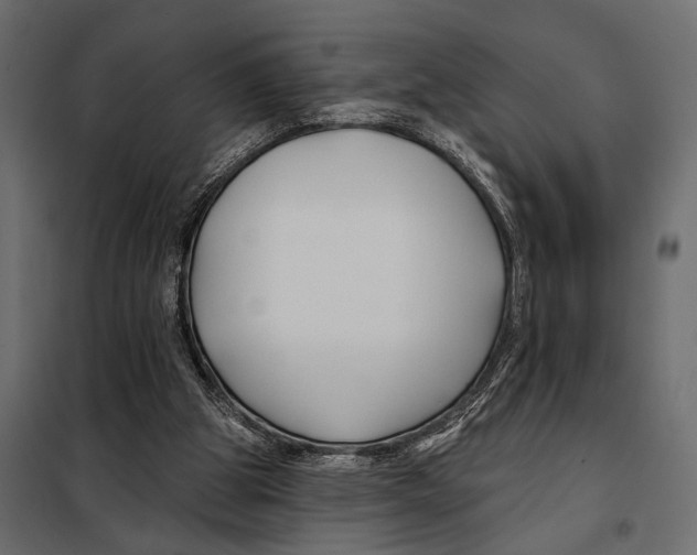 X0000098030153200804251423