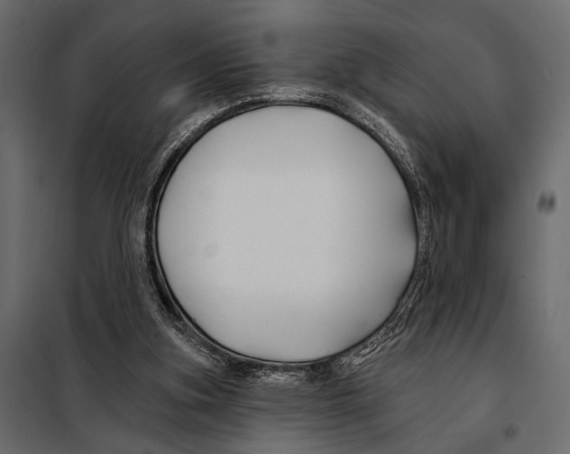 X0000098030155200804251423