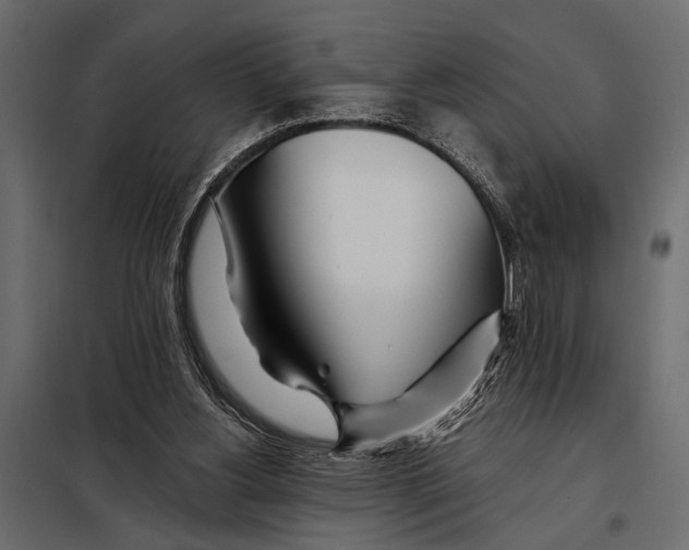 X0000098030156200804251423