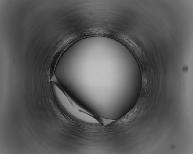 X0000098030158200804251423