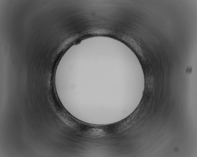 X0000098030159200804251423