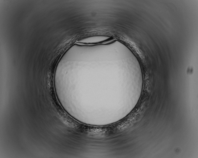 X0000098030161200804251423