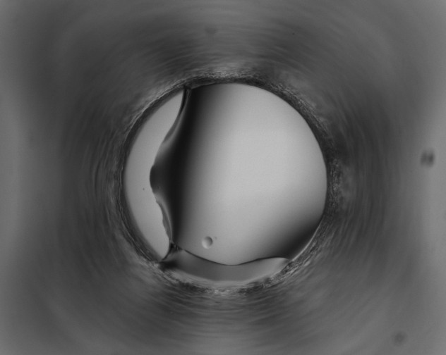 X0000098030164200804251423